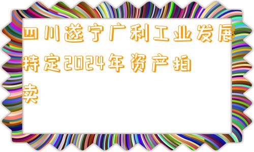 四川遂宁广利工业发展特定2024年资产拍卖