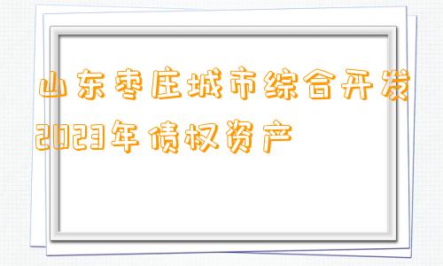 山东枣庄城市综合开发2023年债权资产