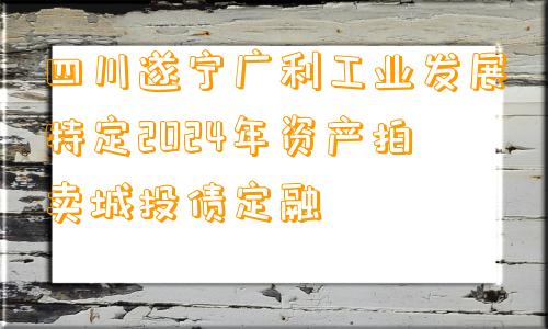 四川遂宁广利工业发展特定2024年资产拍卖城投债定融