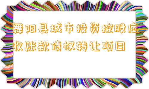 舞阳县城市投资控股应收账款债权转让项目