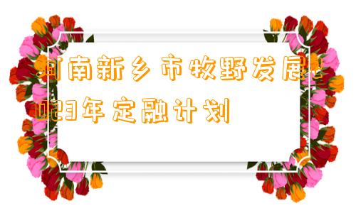 河南新乡市牧野发展2023年定融计划