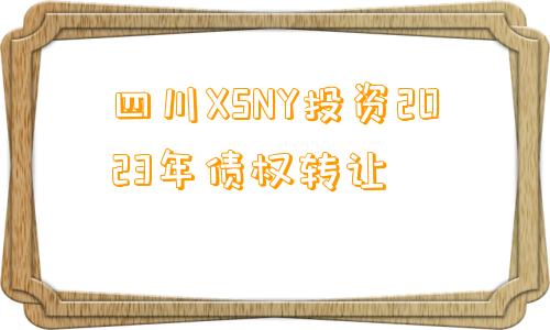 四川XSNY投资2023年债权转让