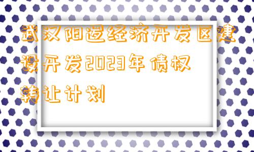 武汉阳逻经济开发区建设开发2023年债权转让计划