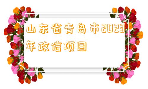 山东省青岛市2023年政信项目