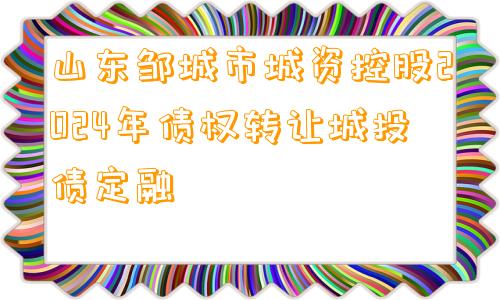 山东邹城市城资控股2024年债权转让城投债定融