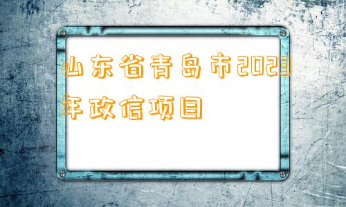 山东省青岛市2023年政信项目