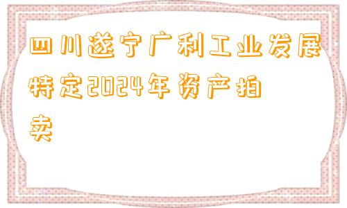 四川遂宁广利工业发展特定2024年资产拍卖