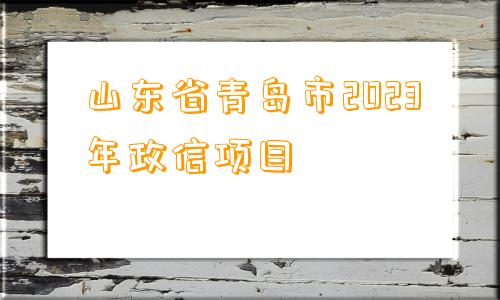 山东省青岛市2023年政信项目