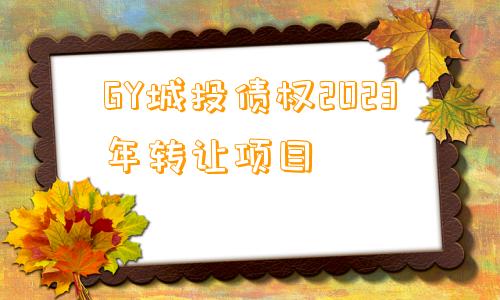 GY城投债权2023年转让项目