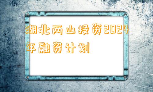 湖北两山投资2024年融资计划