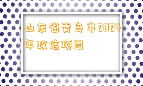 山东省青岛市2024年政信项目