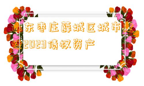 山东枣庄薛城区城市建设2023债权资产