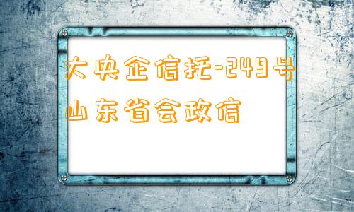 大央企信托-249号山东省会政信