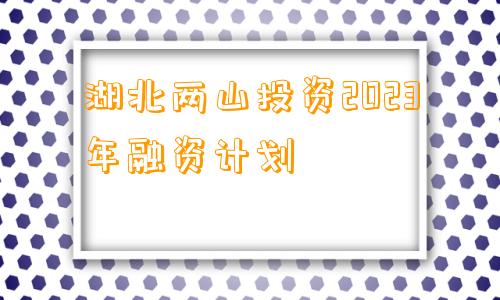 湖北两山投资2023年融资计划