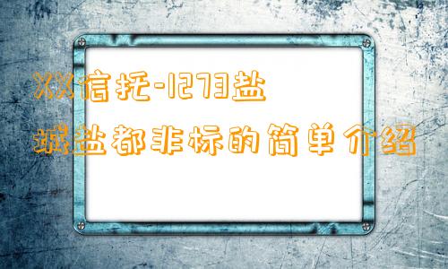 XX信托-1273盐城盐都非标的简单介绍