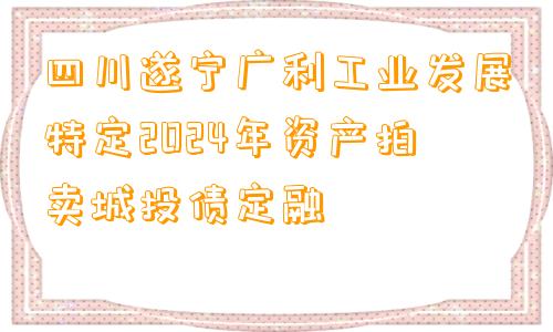 四川遂宁广利工业发展特定2024年资产拍卖城投债定融