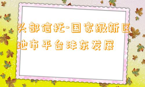 头部信托-国家级新区地市平台沣东发展