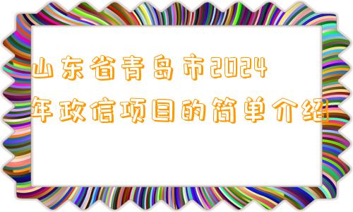 山东省青岛市2024年政信项目的简单介绍