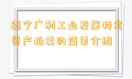 遂宁广利工业发展特定资产拍卖的简单介绍