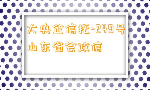 大央企信托-249号山东省会政信