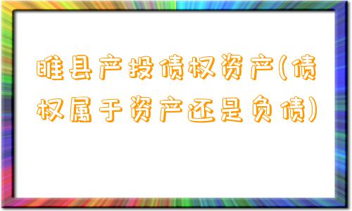 睢县产投债权资产(债权属于资产还是负债)