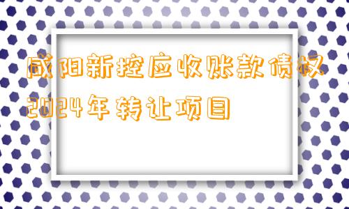 咸阳新控应收账款债权2024年转让项目