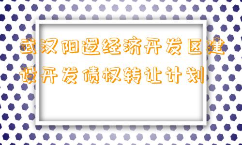 武汉阳逻经济开发区建设开发债权转让计划