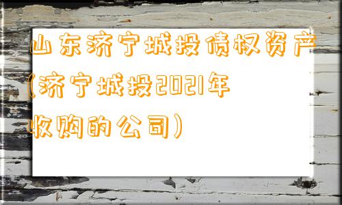 山东济宁城投债权资产(济宁城投2021年收购的公司)