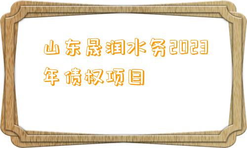 山东晟润水务2023年债权项目