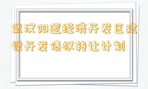 武汉阳逻经济开发区建设开发债权转让计划