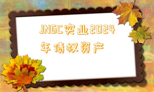 JNGC实业2024年债权资产