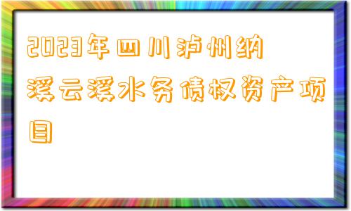 2023年四川泸州纳溪云溪水务债权资产项目