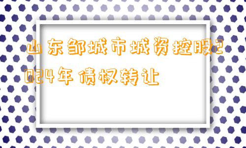 山东邹城市城资控股2024年债权转让