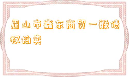 眉山市鑫东商贸一般债权拍卖