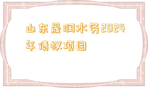 山东晟润水务2024年债权项目