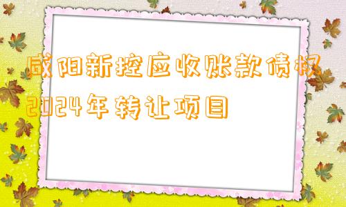 咸阳新控应收账款债权2024年转让项目