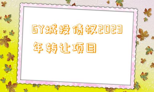 GY城投债权2023年转让项目