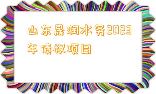 山东晟润水务2023年债权项目