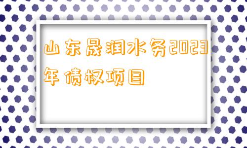 山东晟润水务2023年债权项目