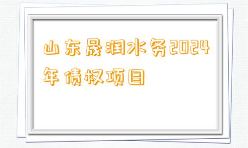 山东晟润水务2024年债权项目