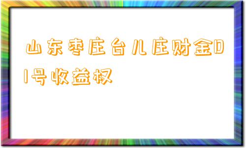 山东枣庄台儿庄财金D1号收益权