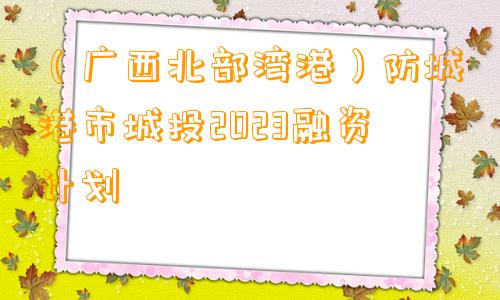 （广西北部湾港）防城港市城投2023融资计划
