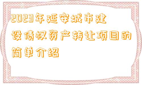 2023年延安城市建设债权资产转让项目的简单介绍