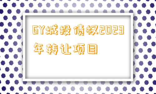 GY城投债权2023年转让项目