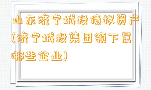 山东济宁城投债权资产(济宁城投集团领下属哪些企业)