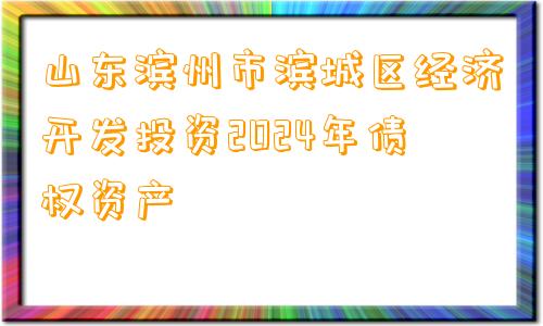 山东滨州市滨城区经济开发投资2024年债权资产