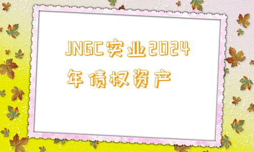 JNGC实业2024年债权资产