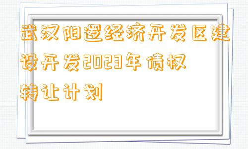 武汉阳逻经济开发区建设开发2023年债权转让计划