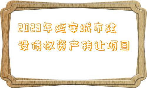 2023年延安城市建设债权资产转让项目