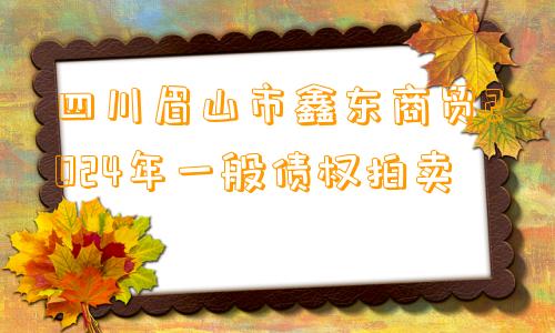 四川眉山市鑫东商贸2024年一般债权拍卖